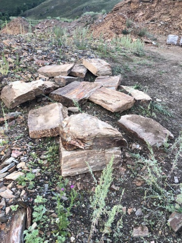 Плитняк кора дерева 50-100мм для пошаговых дорожек купить в Набережных Челнах